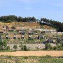 토리글램핑 이미지