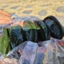 모악산참모싯잎송편 이미지