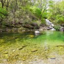 포시즌밸리계곡애견펜션 이미지