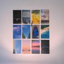 모비딕2019 이미지