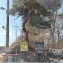 그늘집 네이버블로그