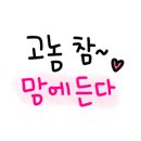 영심이살롱곰곰이호텔 이미지