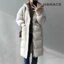 헤레이스(HARACE)