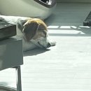 (주)피피엠 이미지