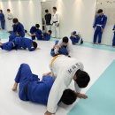 용인대 리더유도짐 광명점 이미지