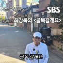 SBS 신규 예능 근황. 이미지