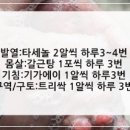군산메디칼 약국 이미지