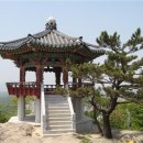 대림목재