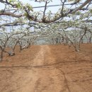 배우물농장 이미지