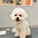 엔조이어블 이미지