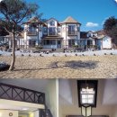 숲속의 별들 이미지