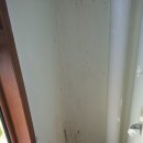 여의도 자이 아파트 곰팡이 방지 페인트(결로방지페인트)시공 이미지