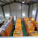 증평낚시 이미지