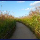 노을공원 이미지