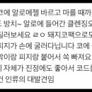 블랙헤드제거 실험해본 후기 (찐후기) 이미지