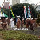 탐라메밀