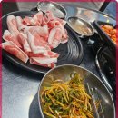고기바다