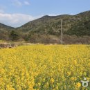 최가네마을 이미지