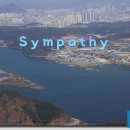 Sympathy ㅡ Rare Bird 이미지