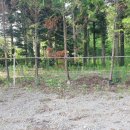 상창리-2 이미지