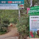 감골감동체험학습교육농장