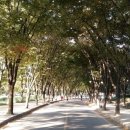 귀성약수터 이미지