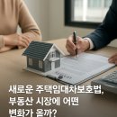 서면부동산중개인 | 새로운 주택임대차보호법 개정안 부동산 시장에 어떤 변화가 올까?