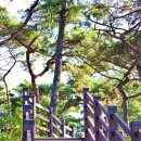 배알도수변공원(2-안내소) | 광양 배알도수변공원 2025.11.06(목)