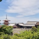 다인 행정사사무소 이미지