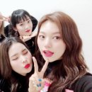 위미 이미지