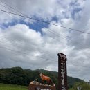 국립공원공단 국립공원야생생물보전원 야생동물의료센터 | 여우생태관찰원 국립공원야생생물보전원 중부보전센터 아이와 함께 생태보전 관련 체험하기 좋은