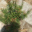 홍원농장 이미지