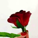 밤마리권역 이미지