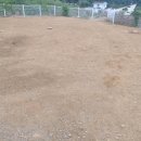 멍린이집 이미지