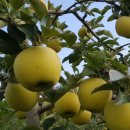 호코농장 이미지