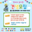 양정유치원 이미지