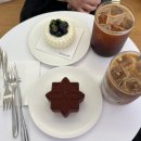 쁘띠누아 | 서울숲 카페 케이크집 노틀던｜🍫시그니처 누아, 🫐마스카 베리 솔직 후기✨