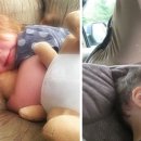 백산동물병원 이미지