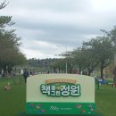 그린아일랜드 야외도서관 | 전남 순천 아이랑 가볼만한곳 오천그린광장 그린아일랜드 야외도서관 책의 정원