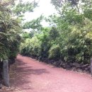 돌뿐이공원 이미지