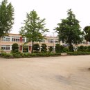 자천초교 이미지