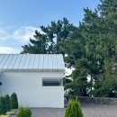 (주)펫키즈 이미지