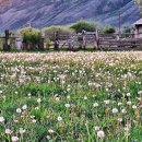 아름다운 민박 이미지