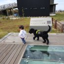 수리야 놀자 이미지