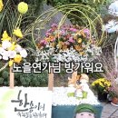 노을연가님 방가워요 이미지