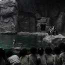 제주해양과학관 (아쿠아플라넷) 이미지