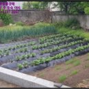 창천리-1 이미지