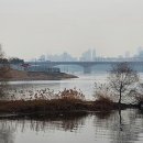 한강수변길 이미지