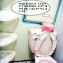 동초등학교 이미지