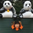 돼지왕 네이버블로그